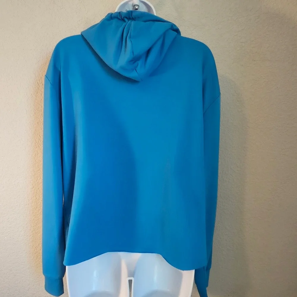 Disney Parks Disneyland Castle Cropped Hoodie Blue Graphic Sweatshirt Large